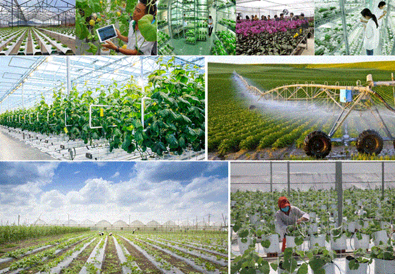 Đẩy mạnh truyền thông khoa học, công nghệ, đổi mới sáng tạo và chuyển đổi số trong ngành Nông nghiệp và Môi trường